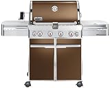 Weber Summit Series 1742001 66