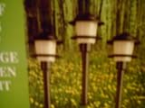 SET OF 4 PCS LOW VOLTAGE GARDEN LIGHTS