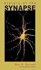 History of the Synapse