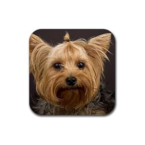 Yorkie puppy Rubber Square Coaster set (4 pack) Great Gift Idea