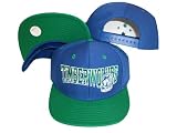Minnesota Timberwolves Wave Blue/Green Two Tone Plastic Snapback Adjustable Plastic Snap Back Hat / Cap