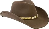 Bailey Western Hudson Hat