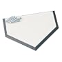 Save-A-Leg Home Plate