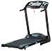 York Fitness York T203 Treadmill