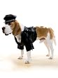 Biker Dog Costume For Dogs Pet Halloween Costumes Pet Lovers