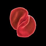 UPC 180030000192 product image for Scratch My Back | upcitemdb.com