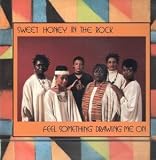 FEEL SOMETHING DRAWING ME ON LP US FLYING FISH 1985 11 TRACK (FF375)
