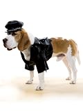 Biker Dog Costume For Dogs Pet Halloween Costumes Pet Lovers