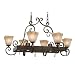 Golden Lighting 3890-PR62 GB Meridian Eight Light Pot Rack, Golden Bronze Finish