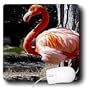 Birds - Flamingo - Mouse Pads