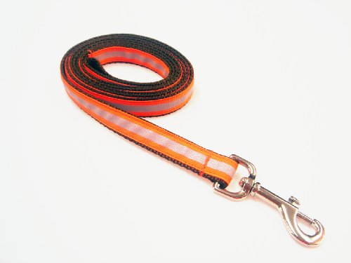 Small Reflective Orange Dog Leash - Nylon Webbing: 3/4