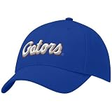 Nike Florida Gators Royal Blue Swoosh Flex Fit Hat