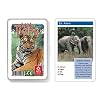 22572087 - ASS Altenburger Spielkarten - Quartett Wilde Tiere