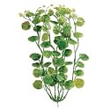 Tetra 19118 Water Wonders Fresh Water Plant Cardamine, 9-Inch
