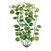 Tetra 19103 Water Wonders Fresh Water Plant Cardamine, 6-Inch