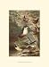 Wagtails and Wrens - Art Print Poster 9.5 x 1