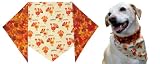 Turkeys & Fall Leaves Bandana Large