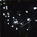 INST Solar Honey Bee String Fairy Decorative Lights 8 Modes 40 LED 21Ft Waterproof for Outdoor, Indoor, Christmas Tree, Garden, Patio, Yard, Parties-Warm White