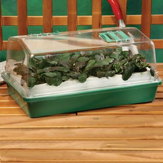 Parks Original Bio Dome with 18 Whopper Cells - Seed Starting Supplies