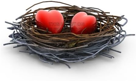 PAINTING ILLUSTRATION WICKER STRAW BIRD NEST LOVE HEART EGGS ART 18 x 24 " POSTER MP3206A