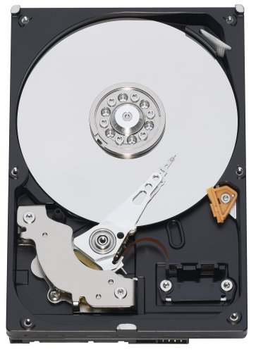 Western Digital Western Digital Caviar Blue WD5000AAKX 500GB interne Festplatte (8,9 cm (3,5 Zoll), 7200rpm, SATA 6 Gb/s, 16MB Cache) Produktbild