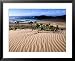 Dune Plants and Beach, Robberg Nature and Marine Reserve, Plettenberg Bay, South Afri...