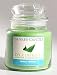 Yankee Candle lemon verbena deck delight Image