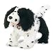 cocker spaniel - Love n' Licks Cocker Spaniel