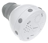 Pollenex DM109X 4-Setting Showerhead, White