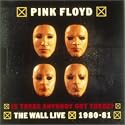 Is There Anybody out There? The Wall: Live 1980-1981 With Book