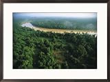 Borneo