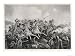 British Light Cavalry Attacking the Russian Guns Art Giclee Poster Print by Dawson, 2...