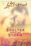 Shelter From The Storm