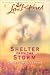 Book Shelter from the Storm (Everyday Heroes, Book 2) (Love Inspired #198)