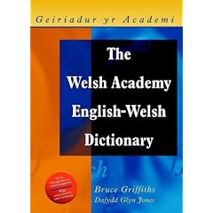 The Welsh Academy English-Welsh Dictionary (University of Wales Press - Political Portraits)