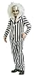 Adult Beetlejuice Costume