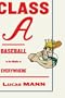 Class A: Baseball in the Middle of Everywhere
