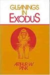 Gleanings in Exodus