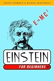 Einstein for Beginners