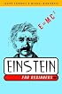 Einstein for Beginners