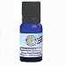 Health & Personal Care : Hemorrhoids No More - 11 ml