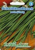 Eigenschaften Chrestensen  / Schnittknoblauch Wagners Kobold (Portion)
