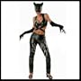 Catwoman Sexy Costume (LARGE)