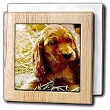 Irish Setter Puppy - 6 Inch Tile Napkin Holder