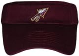 NCAA Florida St Team Visor