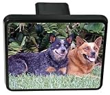 Australian Cattle Dog Trailer Hitch Cover