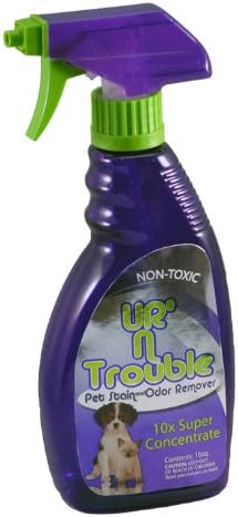Ur'n Trouble Pet Stain and Odor Remover