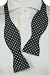 Swagger & Swoon Self-Tie Air Force Blue with Cream Dots Bow Tie