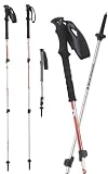 Trail Trekking Pole - Pair by Black Diamond