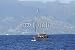 Wallmonkeys Peel and Stick Wall Decals - Sailboat Powered by Engine - Removable Graphic